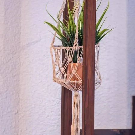 Alex * Κρυοπηγή