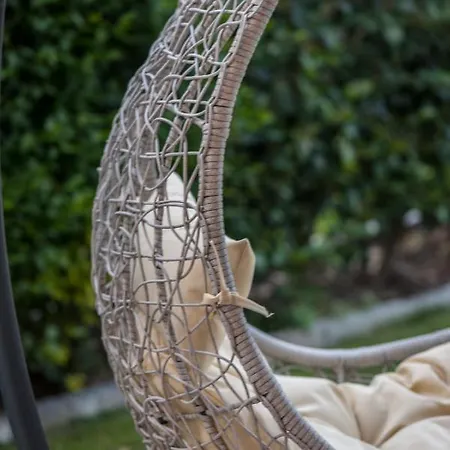 Alex * クリオピギ